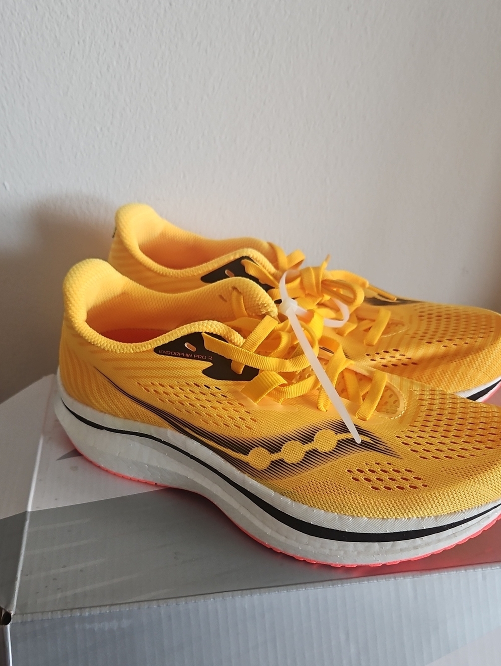 Saucony Women's Endorphin PRO 2